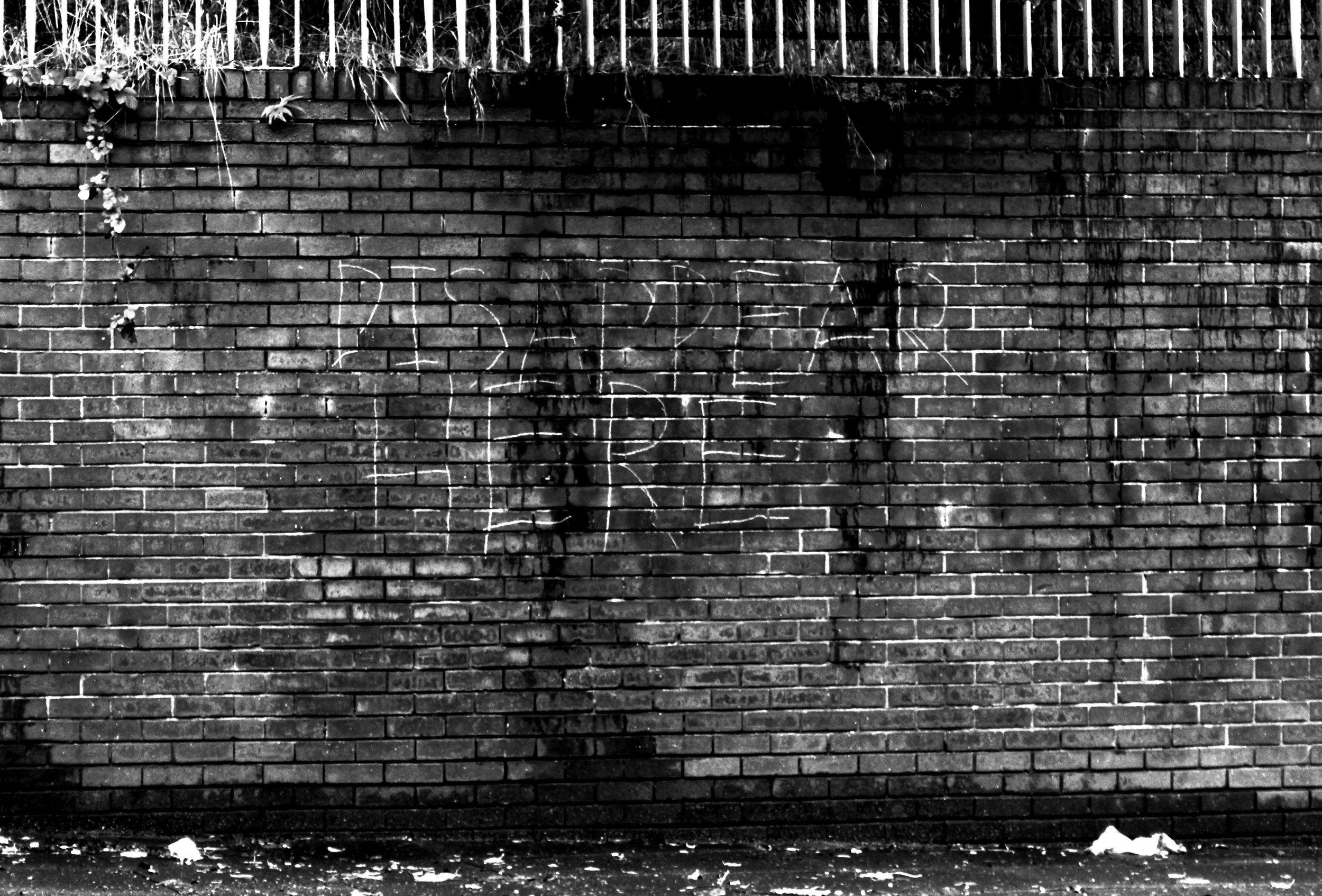 [look close, look again...]