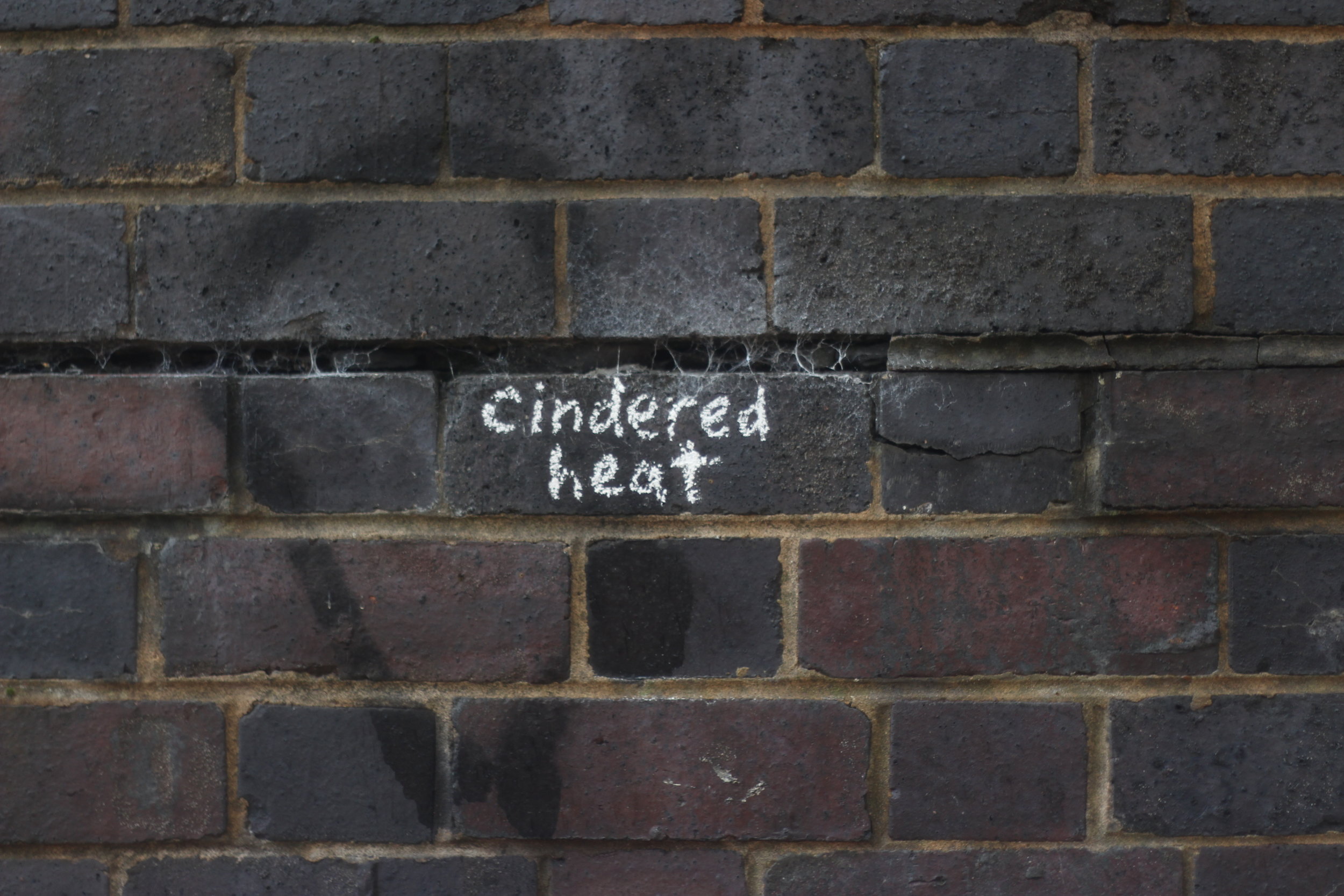 This transition draws attention to the beauty and variety that can be found even in the most unpromising places.