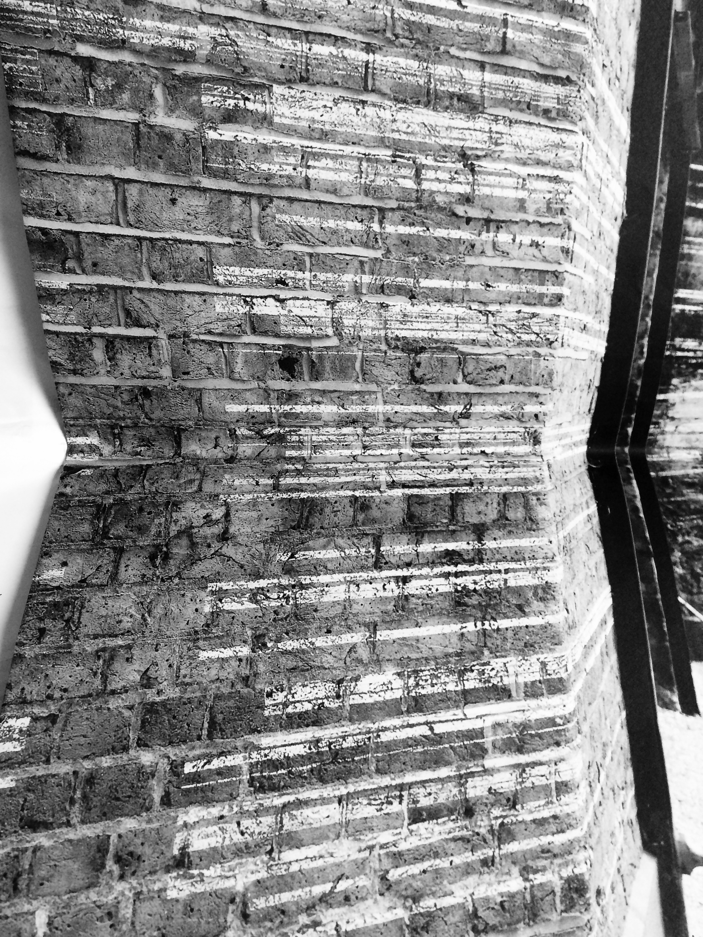 FullSizeRender_2 (2).jpg